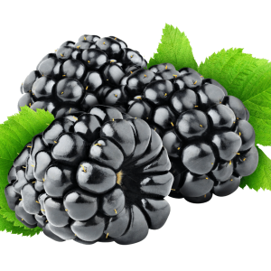 Blackberry PNG
