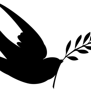 Swallow PNG