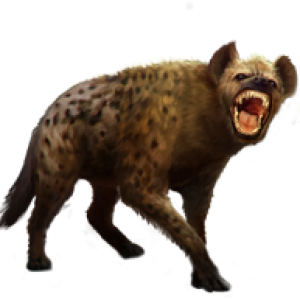 Hyena PNG