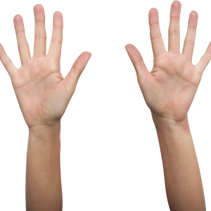 hand PNG