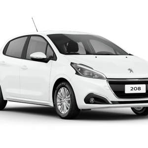 Peugeot PNG