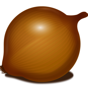 Onion PNG image, free download picture