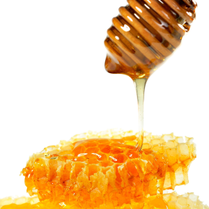 Honey PNG