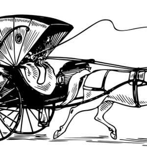 Carriage PNG