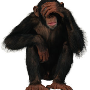 Monkey PNG