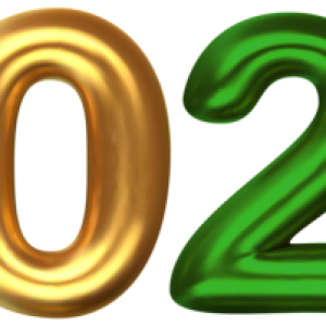 2023 year PNG