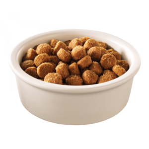 Dog food PNG