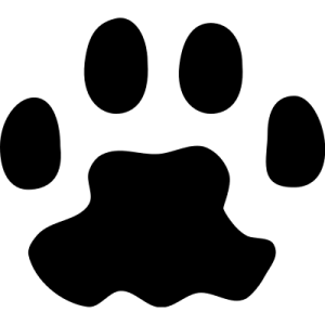 Paw PNG
