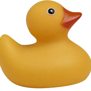 Rubber duck PNG