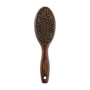 Hairbrush PNG