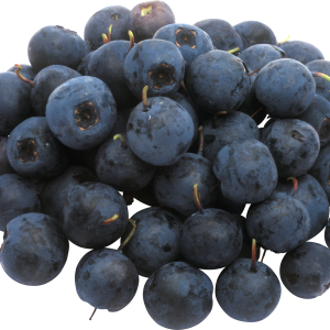 Blueberries PNG