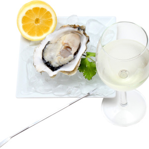 Mussel PNG