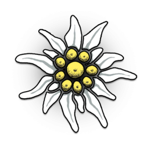 Edelweiss PNG