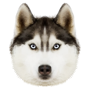 Husky PNG