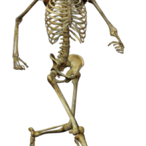 Skeleton PNG image