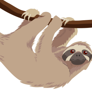 Sloth PNG