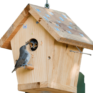 Nest box PNG