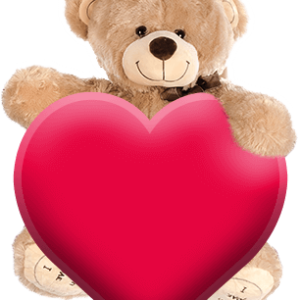 Teddy bear PNG