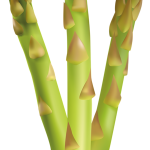 Asparagus PNG