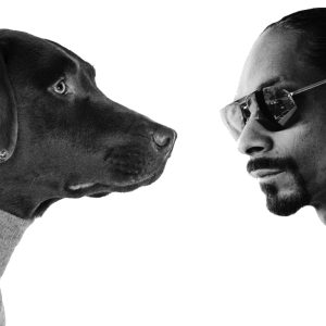 Snoop Dogg PNG