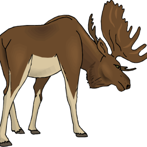 Moose, elk PNG