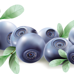 Blueberries PNG