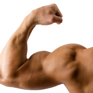 Muscle hand PNG
