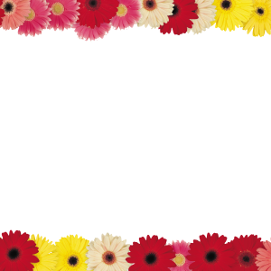 Floral frame PNG