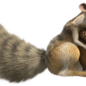 Ice Age squirrel PNG
