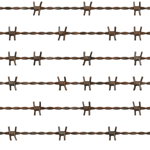 Barbwire PNG