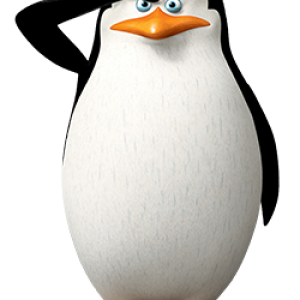 Madagascar penguins PNG
