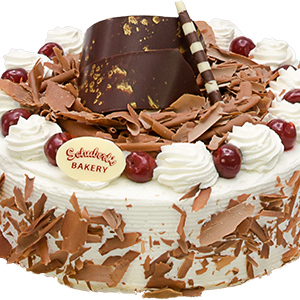 Cake birthday PNG