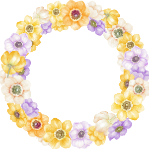 Floral frame PNG