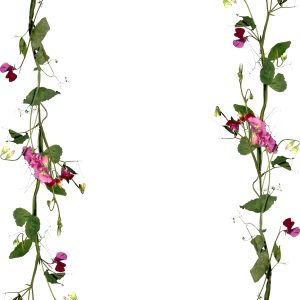 Floral frame PNG