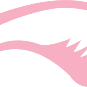 Eyelash PNG