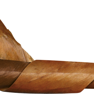 Cigar PNG