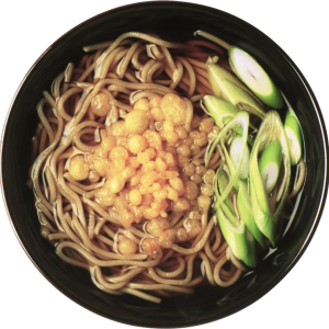 Noodle PNG