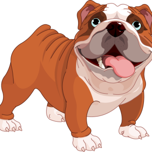 Bulldog PNG