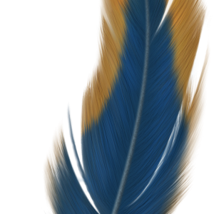 Feather PNG