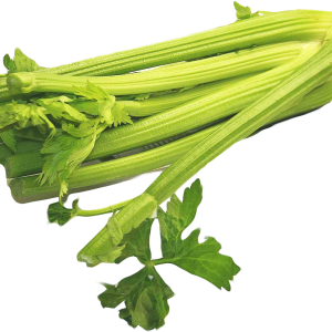 Celery PNG