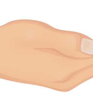 hand PNG