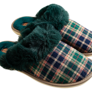 Slippers PNG