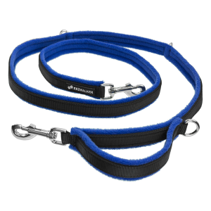 Leash PNG