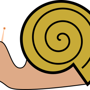 Snail PNG
