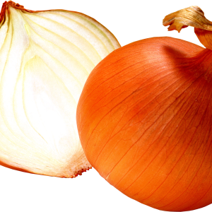Onion PNG