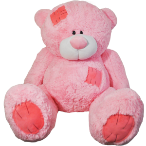 Teddy bear PNG