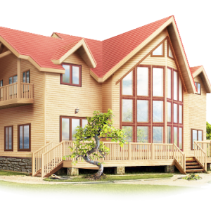 House PNG