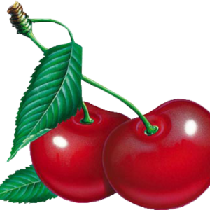 red cherry PNG image, free download