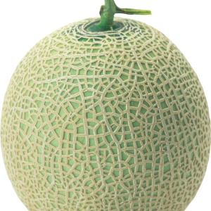Melon PNG