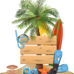 Palm tree PNG